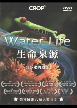生命泉源(11)水的遷徙