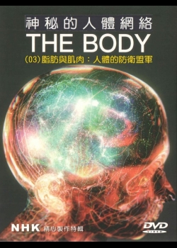神秘的人體網絡(03)脂肪與肌肉：人體的防衛盟軍