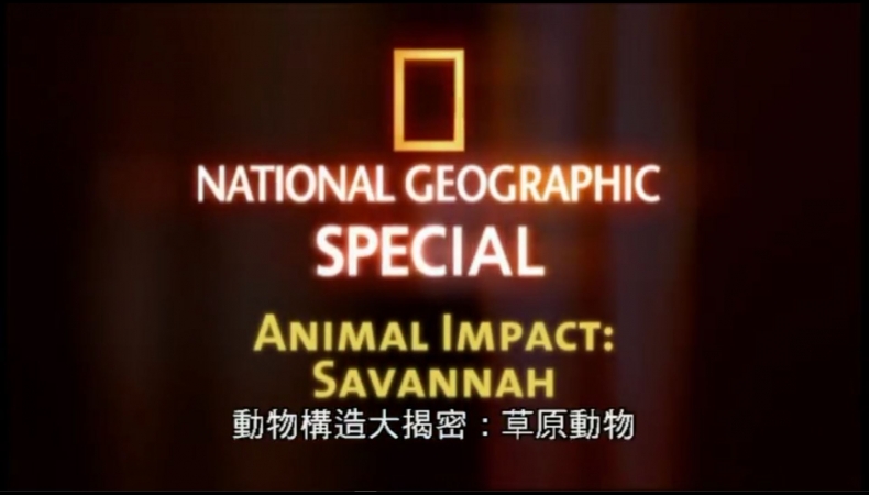 動物構造大揭密Animal Impact(2)草原動物 Savannah