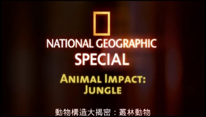 動物構造大揭密Animal Impact(1)叢林動物 Jungle