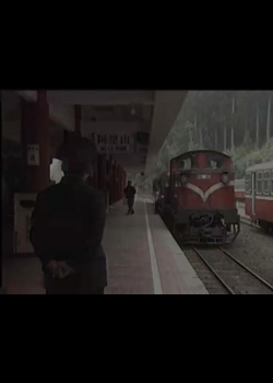軌道傳奇-2
迴盪山林的火車（下）：阿里山森林鐵路
