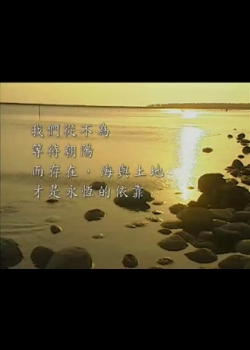 台灣地平線-24
最後的台江內海