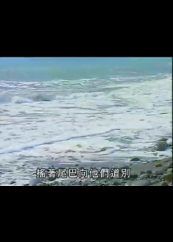 台灣地平線-32
遙祭大海的精靈