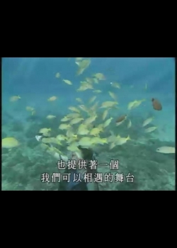 台灣瑰寶-重回海洋-1
面對大海-海洋序曲 