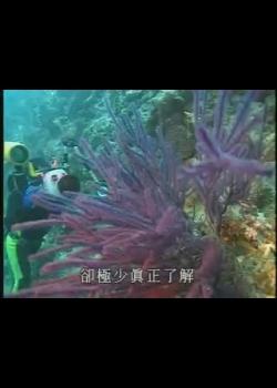 台灣瑰寶-重回海洋-5
穿越繽紛-發現珊瑚