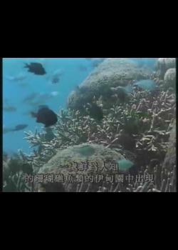 瀛海水晶宮-1
珊瑚礁魚類的