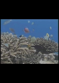 瀛海水晶宮-2
綺麗的海洋花城─蘭嶼
