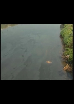 水-10
河死了:河川污染
