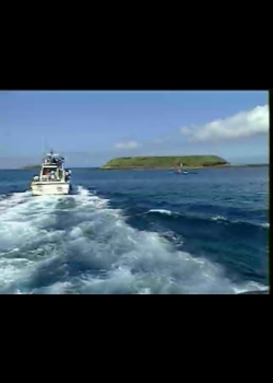 我們的島-2001年-8
撤退