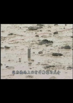 我們的島-2006年-18
惡整台灣招潮蟹