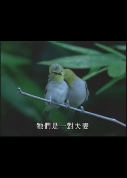 新世代觀察家Ⅱ-3
鳥與人-孫清松