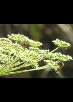 探訪台灣大自然-2
諸神的花園