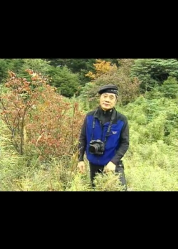 探訪台灣大自然-3
秋葉滿山紅