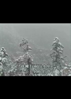 探訪台灣大自然-4
冰封雪飄
