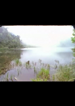 探訪台灣大自然-8
秘深山湖泊－鴛鴦湖