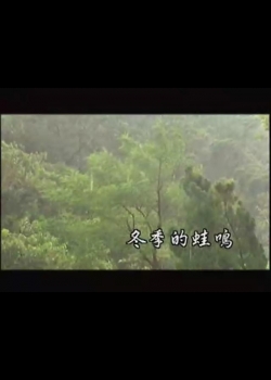 台灣大自然山林記事-5
蛙鳴