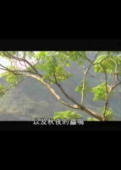 台灣大自然山林記事-16
大地歌手