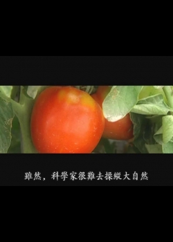 探索未知的世界Ⅱ-5
 植物抗逆境研究：番茄抗寒實錄