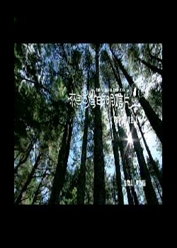 來自台灣的明信片3.
森林奏鳴曲　合歡山：南投縣