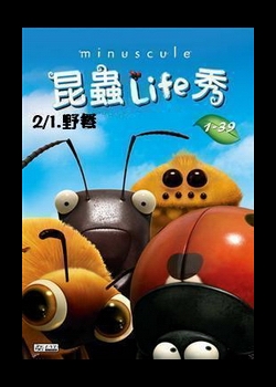昆蟲LIFE秀【3D動畫】
第2集 1.野餐
