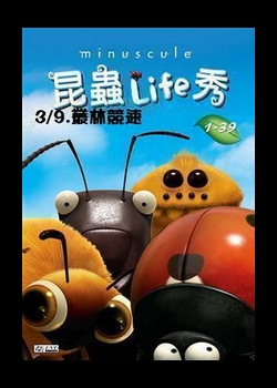 昆蟲LIFE秀【3D動畫】
第3集 9.叢林競速