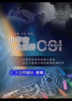 小宇宙大世界-CSI科學鑑識辦案6.大自然線民-蒼蠅