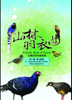 山林羽衣曲-台灣的特有種鳥類2:草山藍影