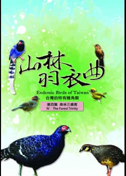 山林羽衣曲-台灣的特有種鳥類4:森林三嬌客