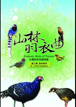山林羽衣曲-台灣的特有種鳥類6:森林歌手