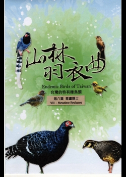 山林羽衣曲-台灣的特有種鳥類8:草廬隱士