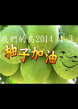 我們的島2014—DVD 4-3.柚子,加油 