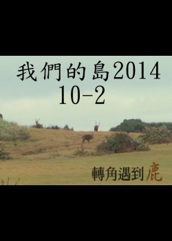 我們的島2014—DVD 10-2.轉角遇到鹿