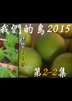 我們的島2015: 第2-2集--蔬菜朵朵開