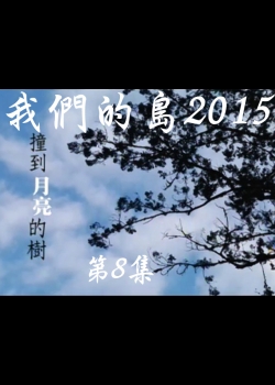 我們的島2015: 第8集--撞到月亮的樹