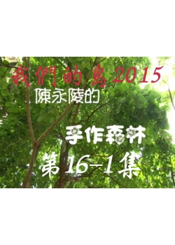 我們的島2015: 第16-1集--陳永陵的手作森林